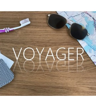 Voyager Steam Key GLOBAL